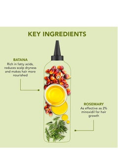 Botanic Hearth Botanic Hearth Rosemary & Batana Hair Oil (6.7 fl oz) | Revitalizing and Strengthening Hair Treatment for Fuller, Healthier-Looking Hair | Paraben Free | Suitable for All Hair Types  - Image 4