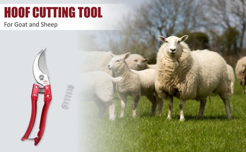 Agarwals Hoof Cutting Tool For Goat And Sheep - Image 3