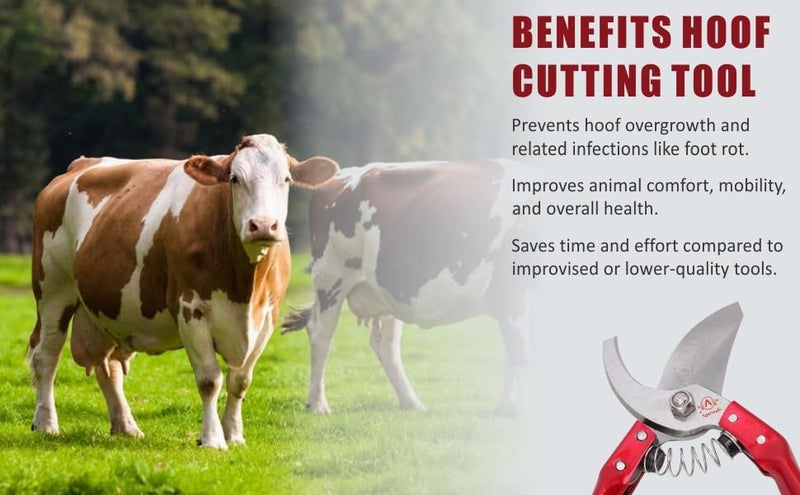 Agarwals Hoof Cutting Tool For Goat And Sheep - Image 4