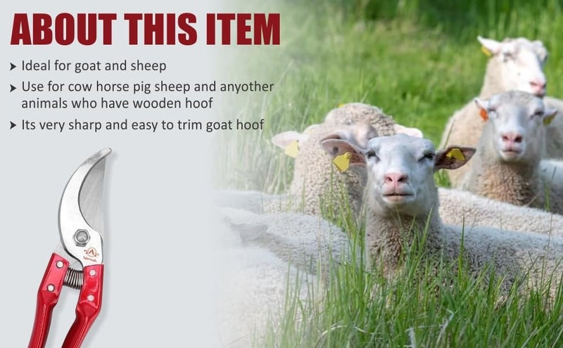 Agarwals Hoof Cutting Tool For Goat And Sheep - Image 5