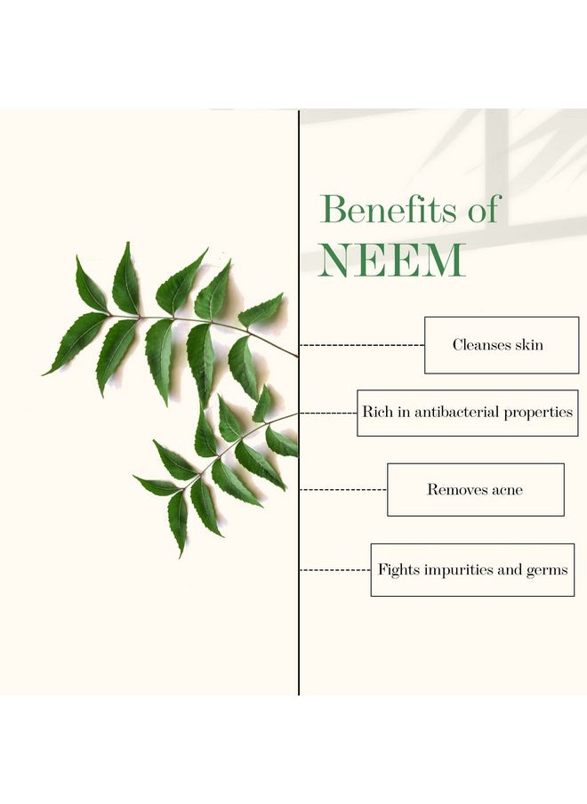 Good Vibes Neem Purifying Face Wash 120 Ml Anti Acne Pore Cleansing Exfoliating Formula For All Skin Types Natural No Parabens & Mineral Oil No Animal Testing  - Image 4