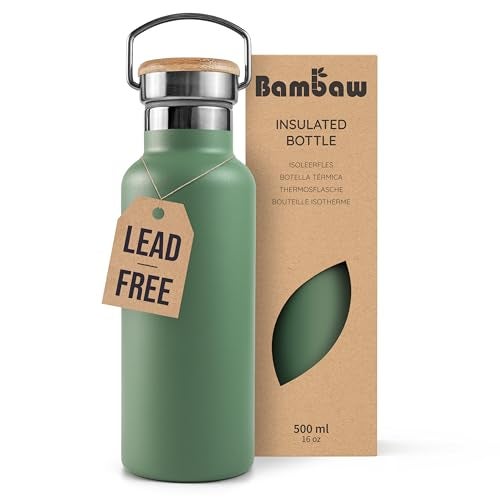 Bambaw Insulated 16 oz Stainless Steel Water Bottle with Handle  Green Travel Bottle
