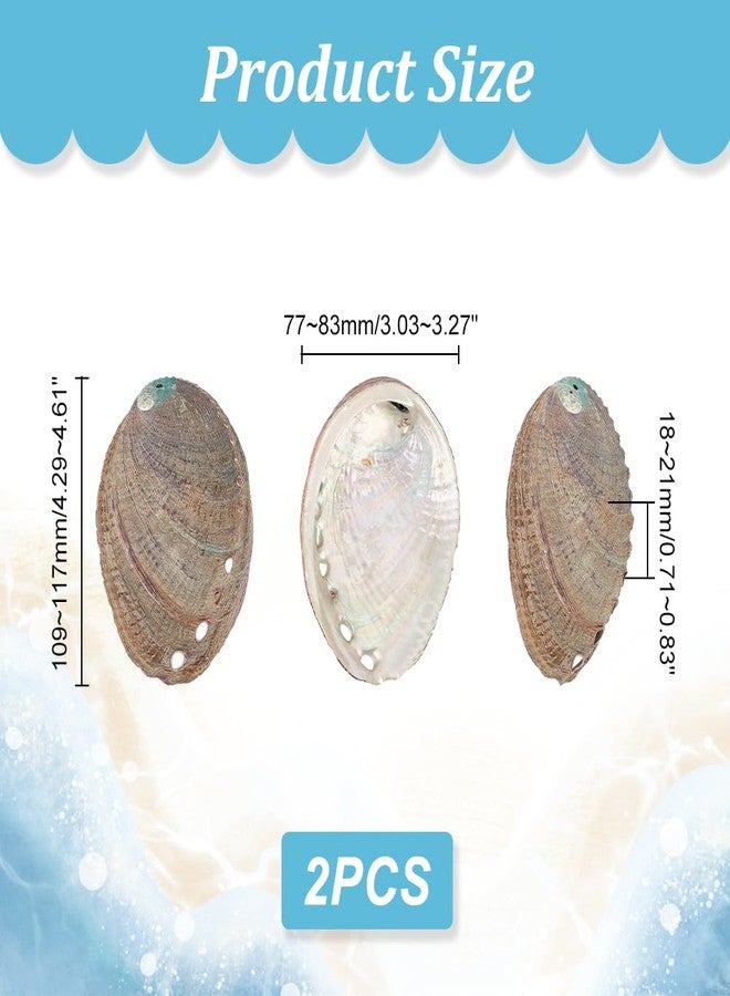 AHANDMAKER 2 Pieces Abalone Shell 3-4.5 inch Polished Abalone Shell White Sage Burner Holder Smudge Bowl Incense Burner for White Sage Decorate for Fish Tank View - Image 2