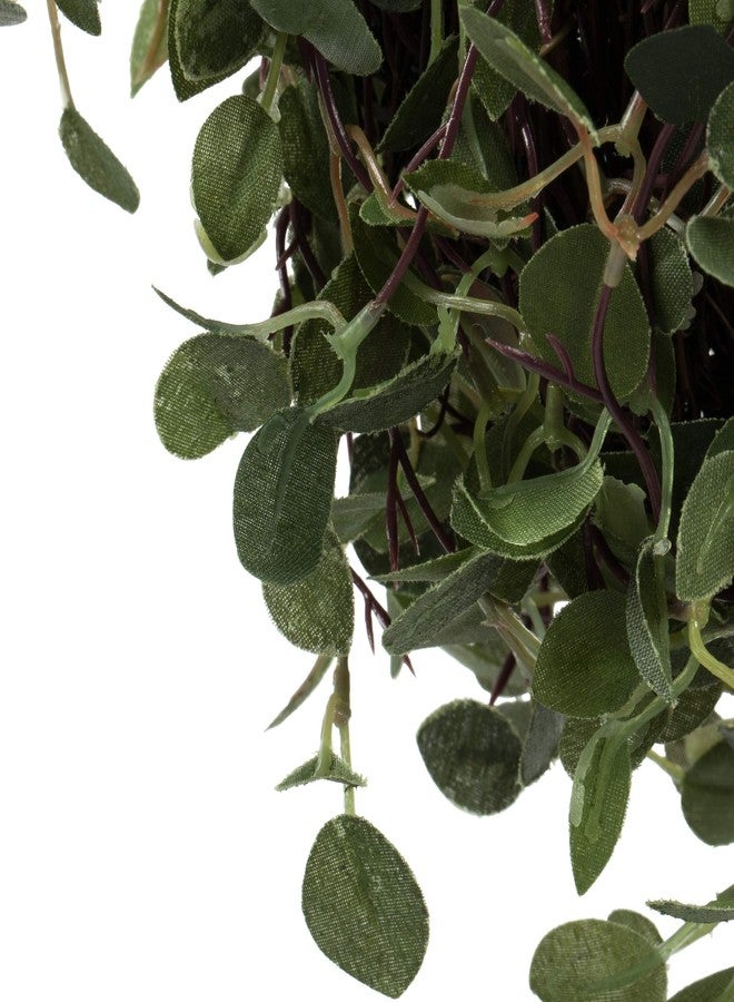 فيكرمان كرة تقبيل من نبات كرمة الملاك الاصطناعية من فيكرمان إيفري داي، مقاس 6 بوصات - لون أخضر طبيعي - للاستخدام الداخلي، معلقة أو كزينة - شجيرة اصطناعية لتزيين طاولة المنزل - Image 4