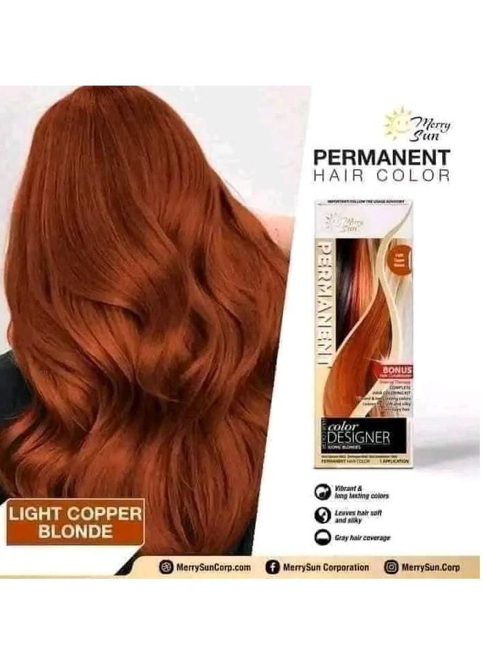 merry sun - Hair Coloring Kit Light Blonde - Image 1