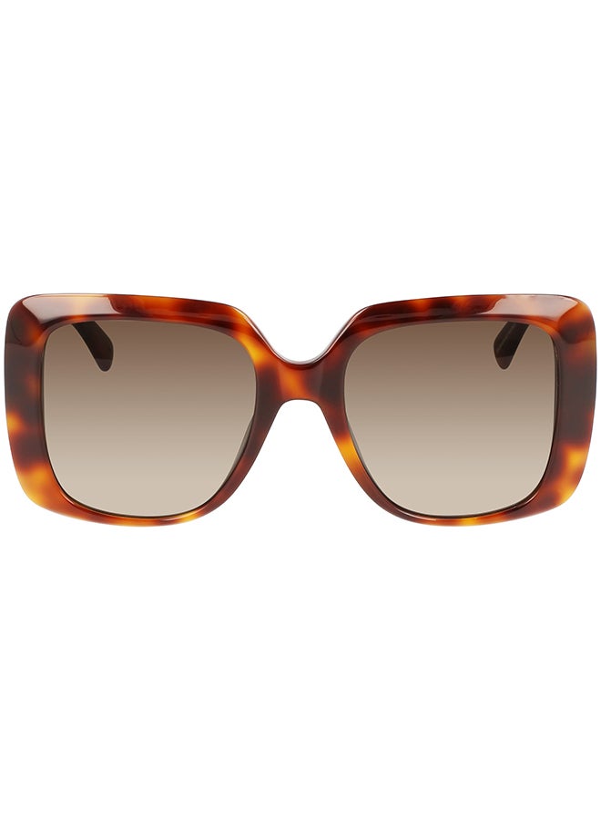 Longchamp نظارة شمسية مربعة للحماية من الأشعة فوق البنفسجية للنساء - LO713S-230-5320 - مقاس العدسة: 53 ملم - Image 1