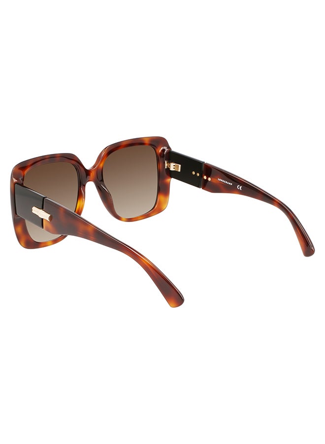 Longchamp نظارة شمسية مربعة للحماية من الأشعة فوق البنفسجية للنساء - LO713S-230-5320 - مقاس العدسة: 53 ملم - Image 3