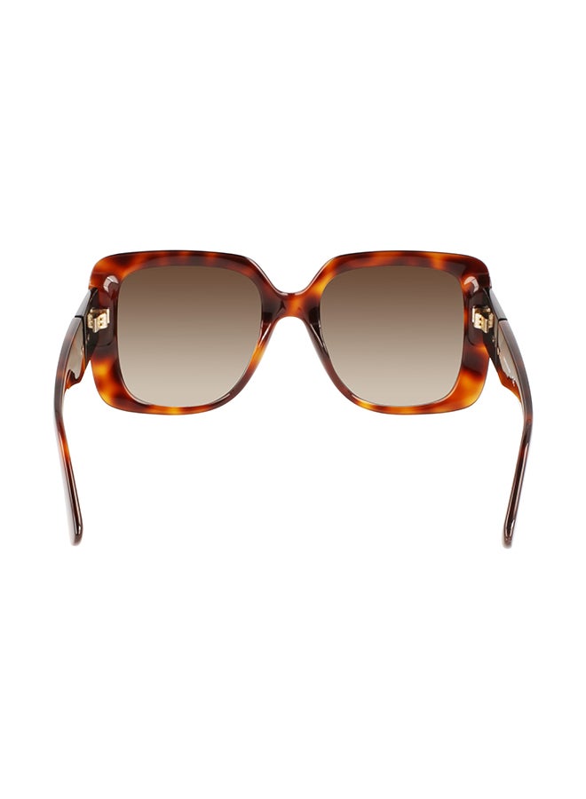 Longchamp نظارة شمسية مربعة للحماية من الأشعة فوق البنفسجية للنساء - LO713S-230-5320 - مقاس العدسة: 53 ملم - Image 4