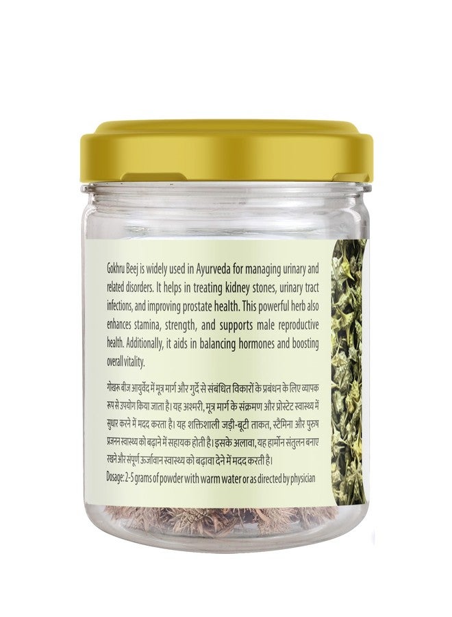 Sharmayu Gokhru Beej | Ayurvedic Herb for Kidney Wellness, Stamina & Strength | 100% Natural & Pure - 40gm - Image 3