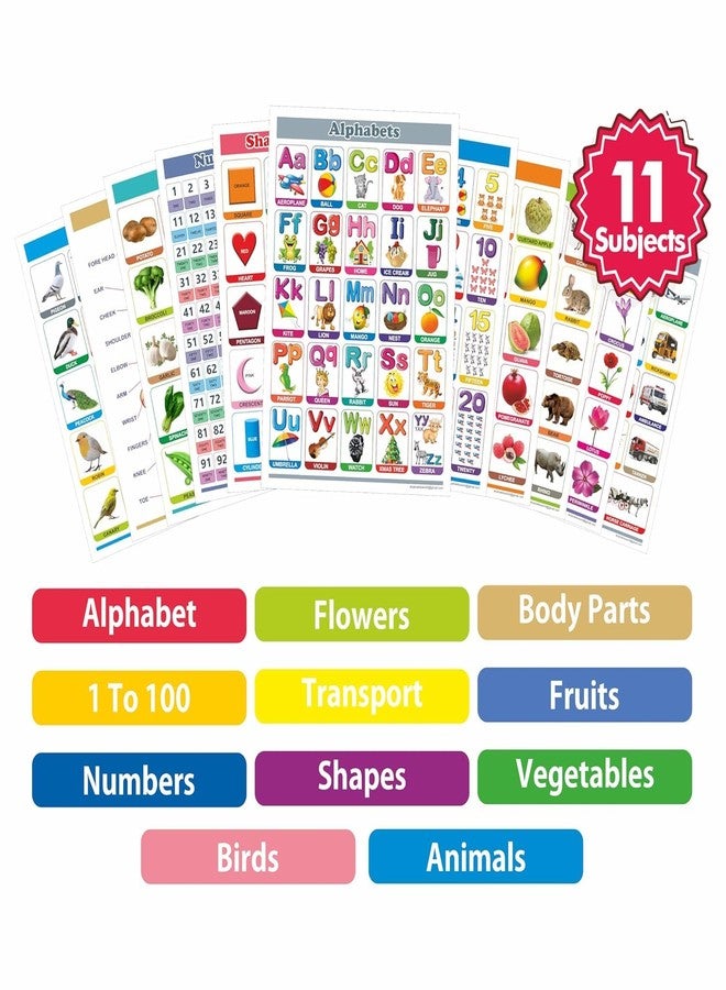 Space Enterprises Look N Learn Junior Educational Chart | Alphabet, Numbers, Shapes, Body Parts, Animals, & Fruits | Educational & Learning Toy for Kids - Image 3
