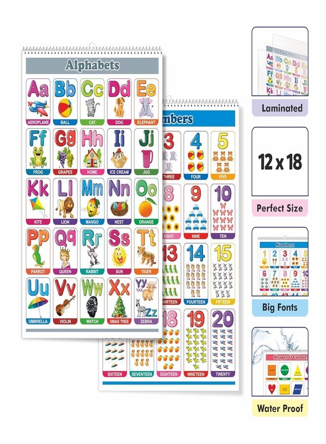 Space Enterprises Look N Learn Junior Educational Chart | Alphabet, Numbers, Shapes, Body Parts, Animals, & Fruits | Educational & Learning Toy for Kids - Image 2