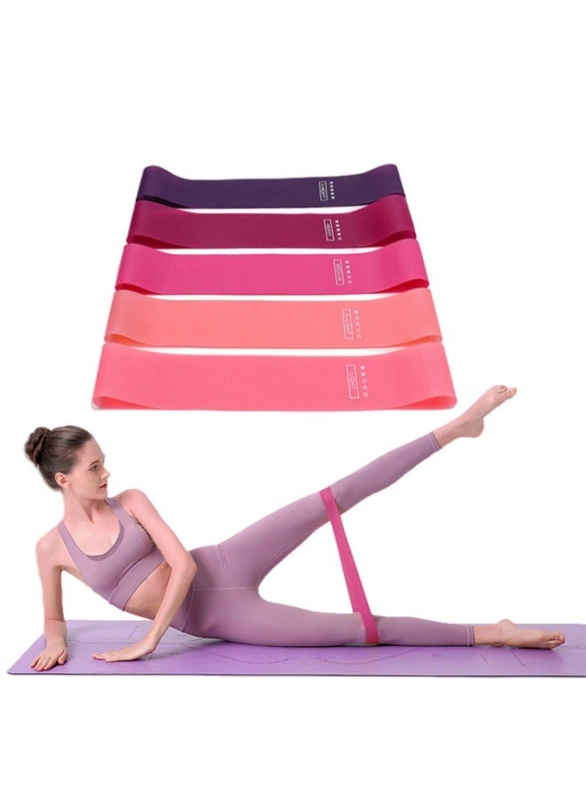 الوردي تدريجيا سحب الشريط ، القرفصاء ، الوركين ، ضوءيه سليم الساق والذراع التوتر الشريط - Image 1