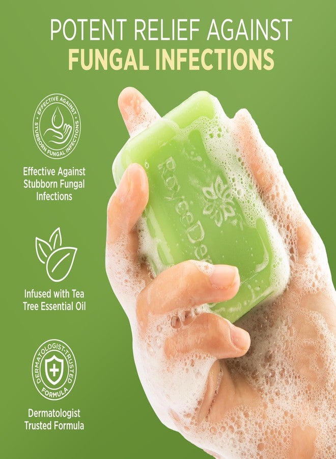 Roycederm Antifungal Bar Soap - Tea tree Oil Soap - Athlete’s Foot Treatment for Jock Itch & Ringworm - Medicated Antifungal Soap with Clotrimazole 1% - Tea Tree Oil Scent, 1 Pack - Image 3