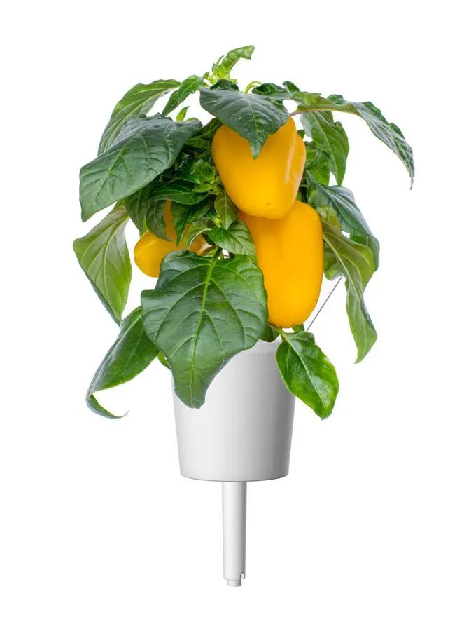 Click & Grow Click & Grow Plant Pods Yellow Sweet Pep