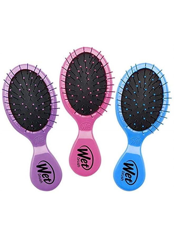 Wet Brush فرشاة فك تشابك الشعر Squirt متعددة العبوات - وردي وأرجواني وأزرق، عبوة من 3 قطع - فرشاة فك تشابك صغيرة بشعيرات IntelliFlex الناعمة - فرشاة شعر خالية من الألم للشعر المجعد والكثيف - للنساء والرجال - Image 1