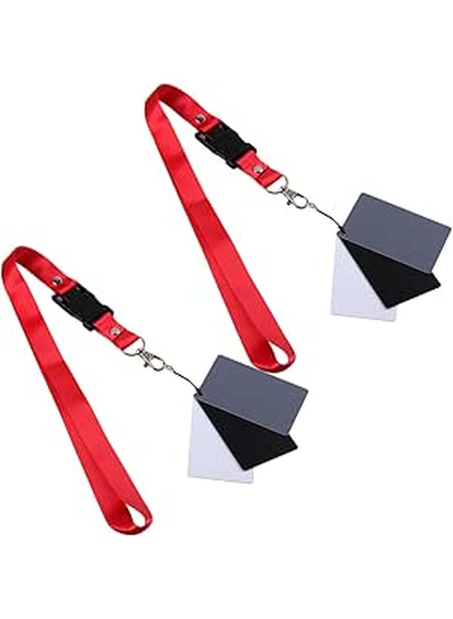 2 Pcs White Balance Card Set For Photography With Neck Strap Accurate Exposure And Color Correction Sliver - Image 1