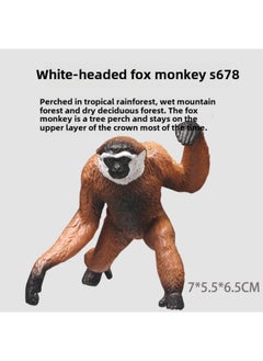 Simulation Wildlife Model Solid Fox Eagle Kangaroo Sloth Ostrich Wolf Leopard Squirrel Toy Ornaments-Color:S678 White-headed Lemur