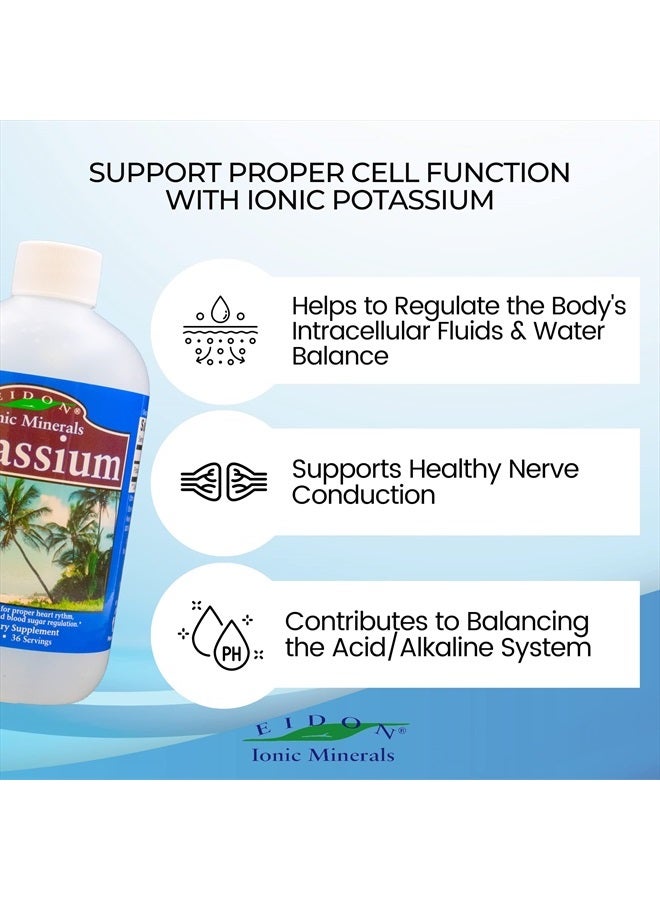Eidon Ionic Minerals Liquid Potassium Supplement - Potassium Chloride Drops, Essential Electrolyte for Cell Function, Bioavailable Ionic Minerals, All Natural, No-Preservatives or Additives - 18 oz - Image 4