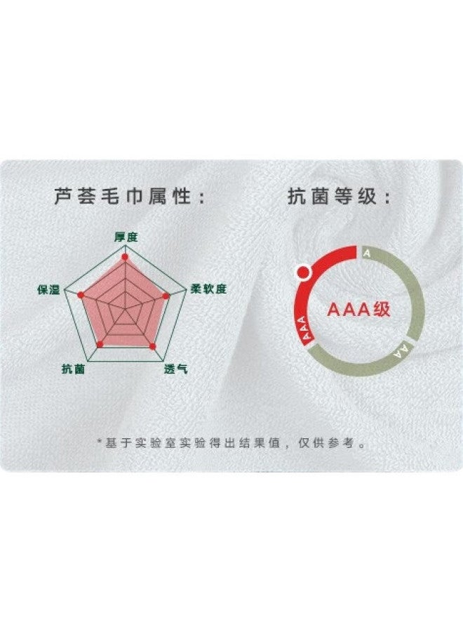 Hoyo Towel For Men And Women, Pure Cotton, Class A Face And Bath Antibacterial Towel, Absorbent Quick-Drying Towel 33*73Cm - Image 1
