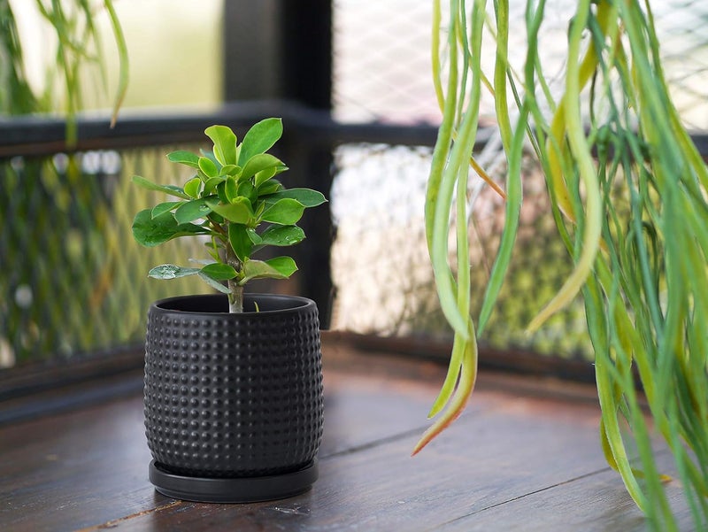 D'vine Dev Set of 2 Ceramic Plants Pots, 4 Inch Beaded Stoneware Flower Pot for Plants with Drainage Hole and Saucer, Ebony Matte, 27-E-Z-6 - Image 5