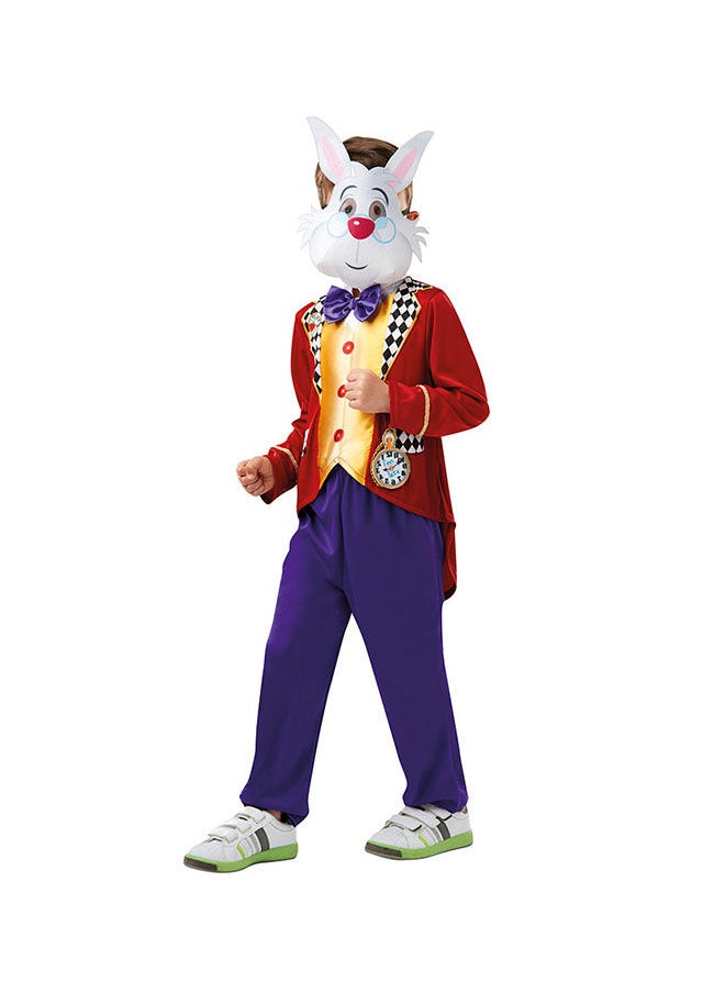 Rubies Costume Official Disney Alicein Wonderland White Rabbit Childs Costume Book Week Character  - Image 1