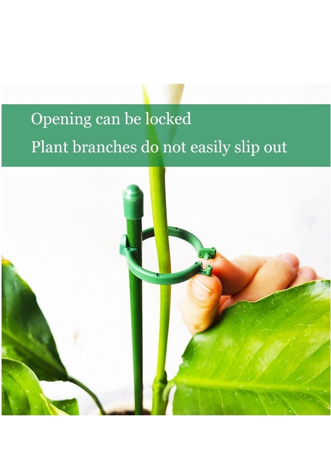 Generic Plant Support Stake, 30CM Plant Sticks Support with Buckle, Indoor Outdoor Gardening Plant Floral Supports, Waterproof Durable Fixing Supporting Straightening Bracket Sticks Holder, 10Pcs (Green)  - Image 4