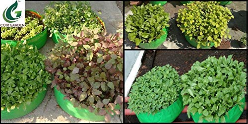 COIR GARDEN Grow Bags, 18x9 inch, Pack of 2 - Image 4