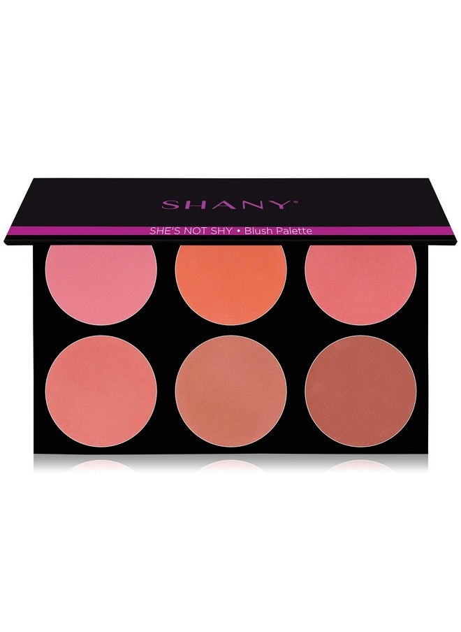 Shany SHANY The Masterpiece 6 Colors Large Makeup Blush Palette - SHE'S NOT SHY  - Image 1