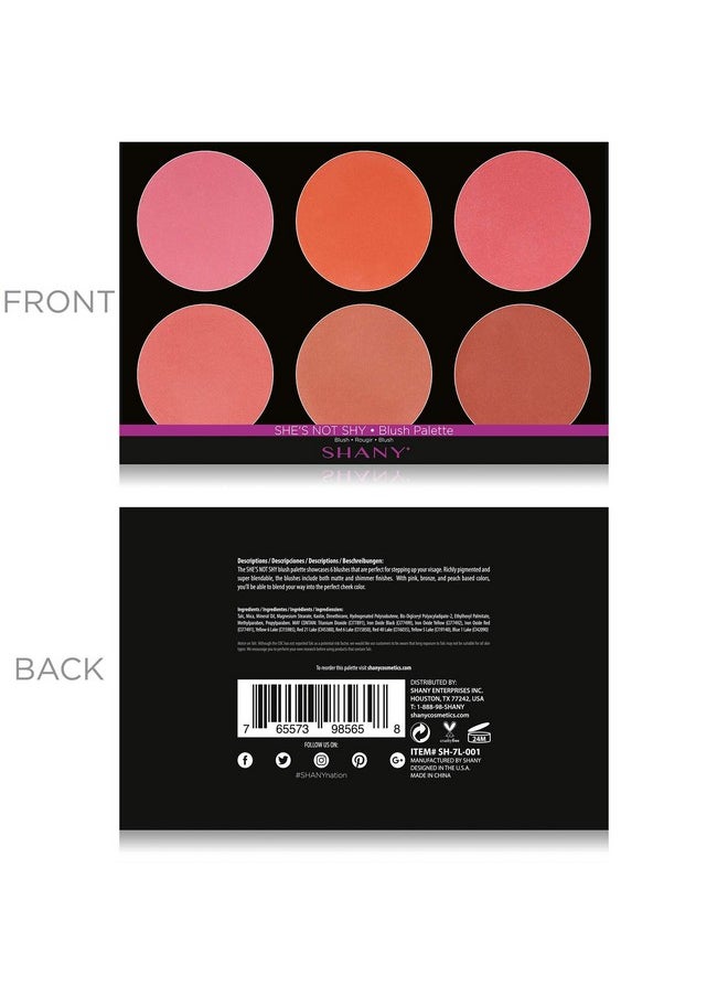 Shany SHANY The Masterpiece 6 Colors Large Makeup Blush Palette - SHE'S NOT SHY  - Image 3