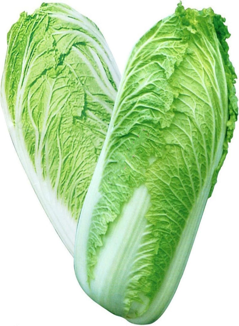GGOOT Vegetable Seed Varieties - 200Pcs Delicious Chinese Cabbage Seeds Nutritious Vegetable Home Garden Plant Kids Beginners Gardeners Gift -1# - Image 1