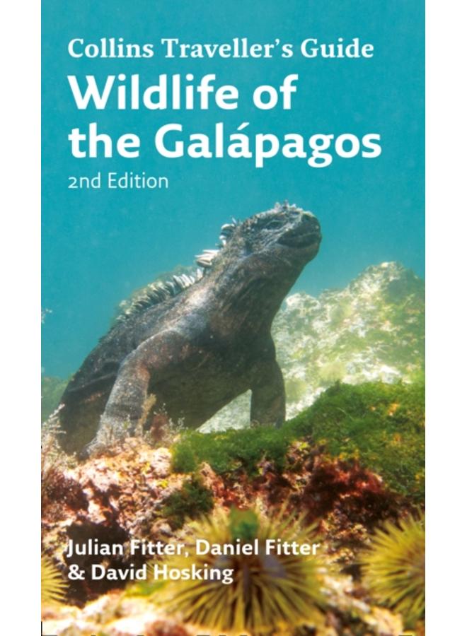 Wildlife of the Galapagos