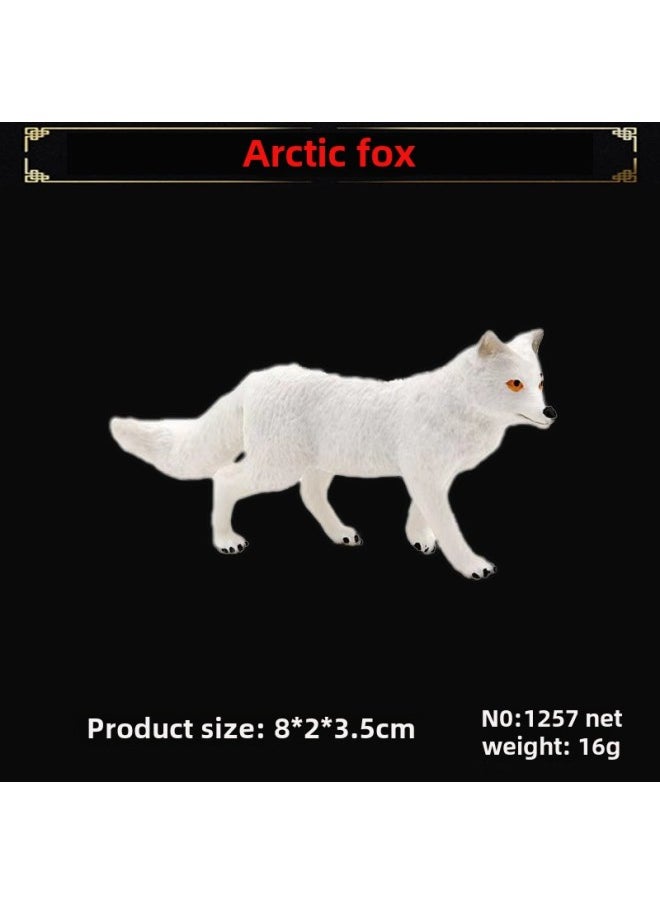 Realistic Fox Animal Models White Fox Red Arctic Ear Flaps Children's Toy Ornaments-Color:Arctic Fox 1257  - Image 1
