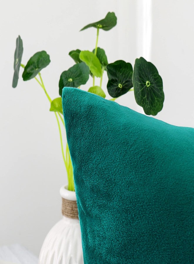NiNi ALL Decorative Throw Pillow Covers Velvet Soft for Couch Sofa Bedroom Living Room Outdoor Pack of 2 18x18 Inch Teal - Image 2