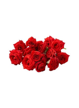 Fresh Rose Flowers