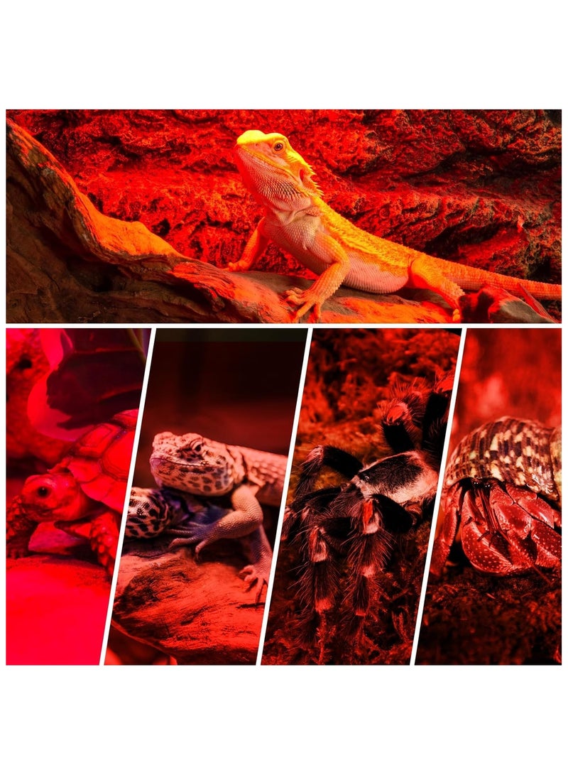 REPTIZOO REPTI ZOO Reptile 75W Infrared Heat Lamp Bulb,1 Pack Infrared Basking Spot Light for Reptiles & Amphibian,Bearded Dragon,Leopard Gecko,Turtle,Lizard,Chickens | Pet Brooders Night Heat Lamp (IFL75)  - Image 4