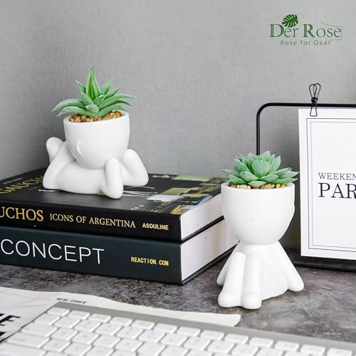 Der Rose 2 Pack Fake Plants Succulents Plants Artificial for Living Room Home Bathroom Office Decor - Image 4