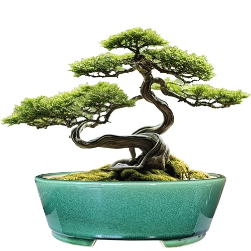 MUZHI 9” Glazed Oval Green Bonsai Planter Pot with Humidity Tray, Classic Neat Ice Crack Long Bonsai Tree Succulent Plant Pot with Saucer - Image 1