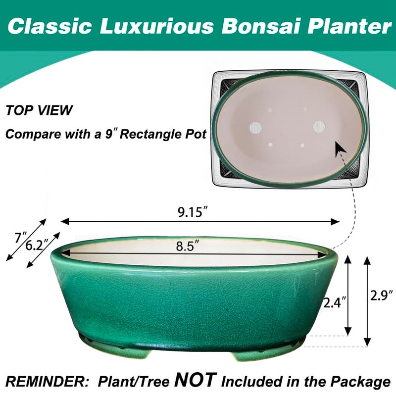 MUZHI 9” Glazed Oval Green Bonsai Planter Pot with Humidity Tray, Classic Neat Ice Crack Long Bonsai Tree Succulent Plant Pot with Saucer - Image 2