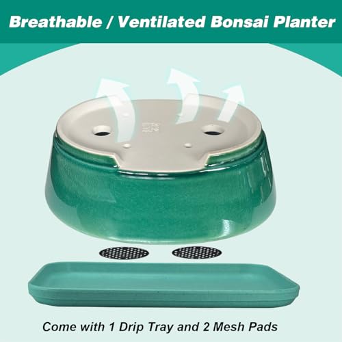 MUZHI 9” Glazed Oval Green Bonsai Planter Pot with Humidity Tray, Classic Neat Ice Crack Long Bonsai Tree Succulent Plant Pot with Saucer - Image 4