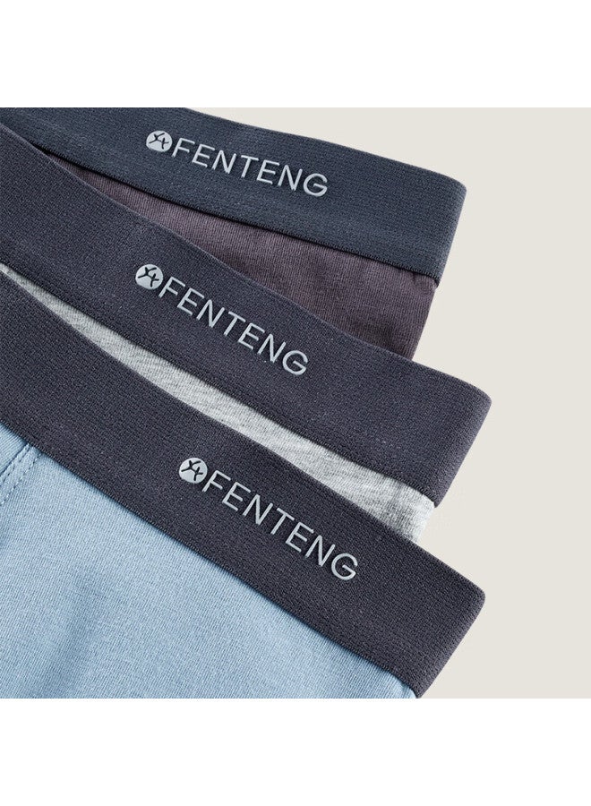 Fenton Fenteng Men's Boxer Briefs, Pure Cotton, Breathable, Antibacterial, Loose-fitting Shorts, Large Size, Four-corner Underwear, Combination Seven, 3 Pieces, L - Image 5
