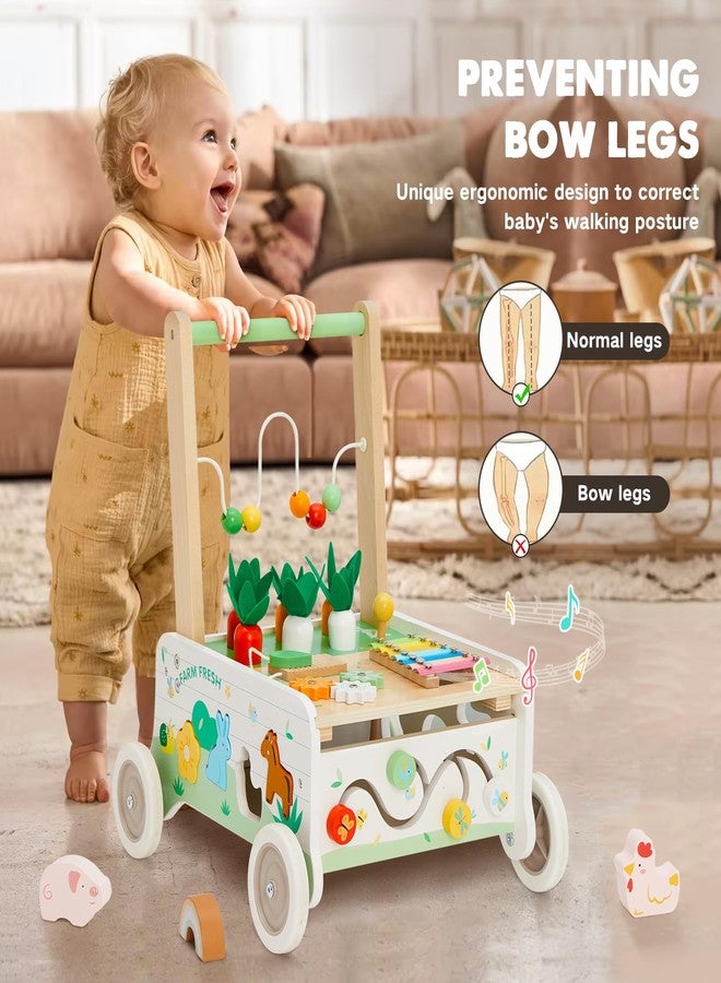 Frogprin Wooden Baby Walker, Baby Push Walker, Adjustable Speed Baby Walker with Wheel, Toddler Activity Center Toys, Montessori Farm Walker Toy with Shape Sorter, Carrot Harvest for Boys and Girls - Image 2