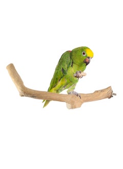 CHEWY BEAK wooden bird perch for large parrots  - Image 1