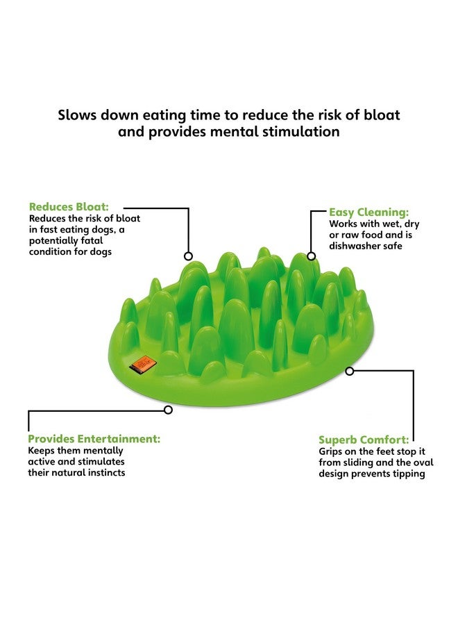 Company of Animals Green Slow Interactive Feeder For Dogs, Size Large, Best Fun Slow Feeder Dog Bowl, AntiGulp, Gobble Stopper, Mental Stimulation Dog Puzzle, Suitable For Small, Medium & Large Dogs - Image 2