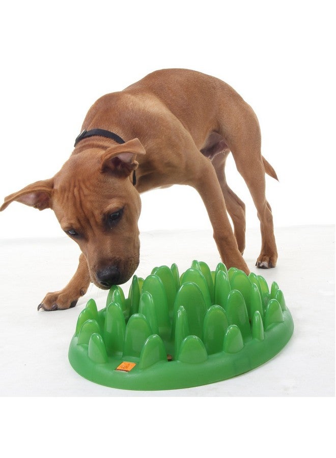 Company of Animals Green Slow Interactive Feeder For Dogs, Size Large, Best Fun Slow Feeder Dog Bowl, AntiGulp, Gobble Stopper, Mental Stimulation Dog Puzzle, Suitable For Small, Medium & Large Dogs - Image 4
