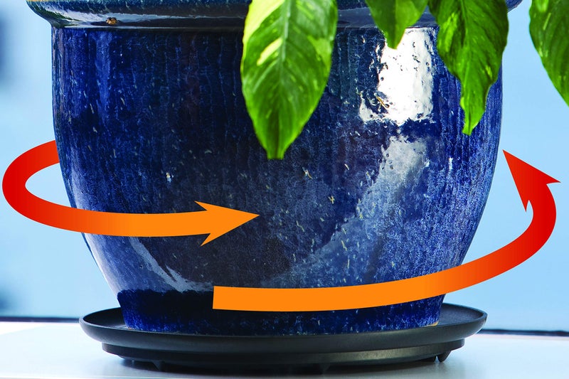 Bosmere S41610 Down Under Plant Turner, Heavy-Duty Rotating Plant Stand, Protects Decks, Wood Floors, Carpet, Tile, 250lbs Capacity, 16-Inch, Black - Image 4