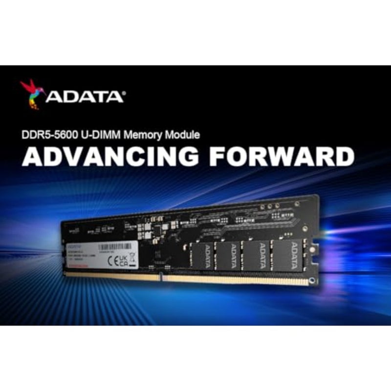 DDR5 16GB 5600-46 علبة واحدة مميزة - Image 5