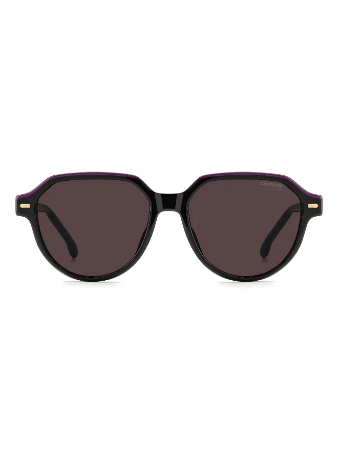 Carrera  Round Carrera Sunglasses  | Best Price UAE