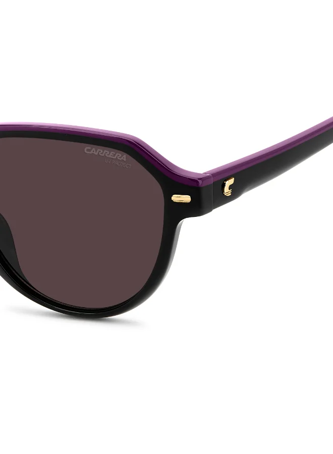 Carrera  Round Carrera Sunglasses  | Best Price UAE