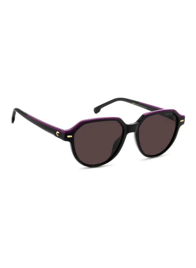 كاريرا Round Carrera Sunglasses