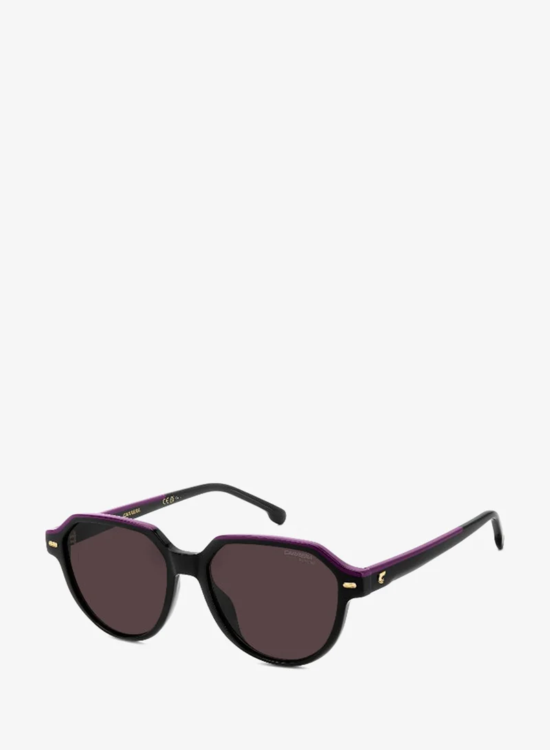 كاريرا Round Carrera Sunglasses